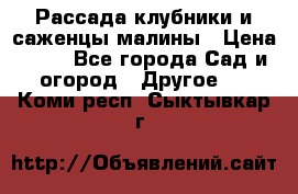 Рассада клубники и саженцы малины › Цена ­ 10 - Все города Сад и огород » Другое   . Коми респ.,Сыктывкар г.